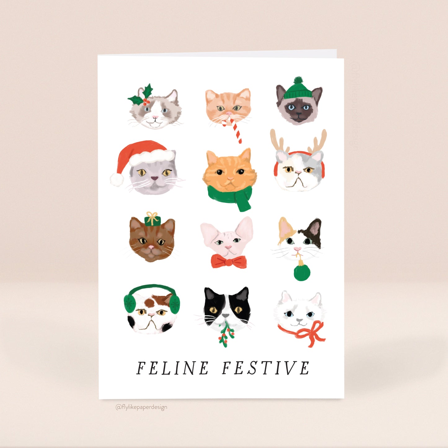 Feline Festive Christmas 5 Card Set